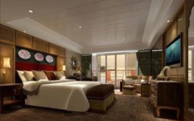 长江黄金八号游轮游轮黄金8号游轮（豪华套房）